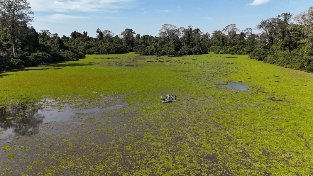 Fieldwork done from small boat on a green forest lake.