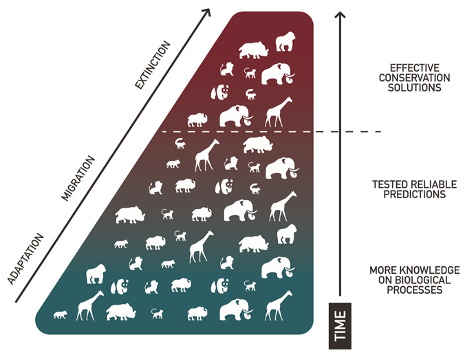 Extinction risk model