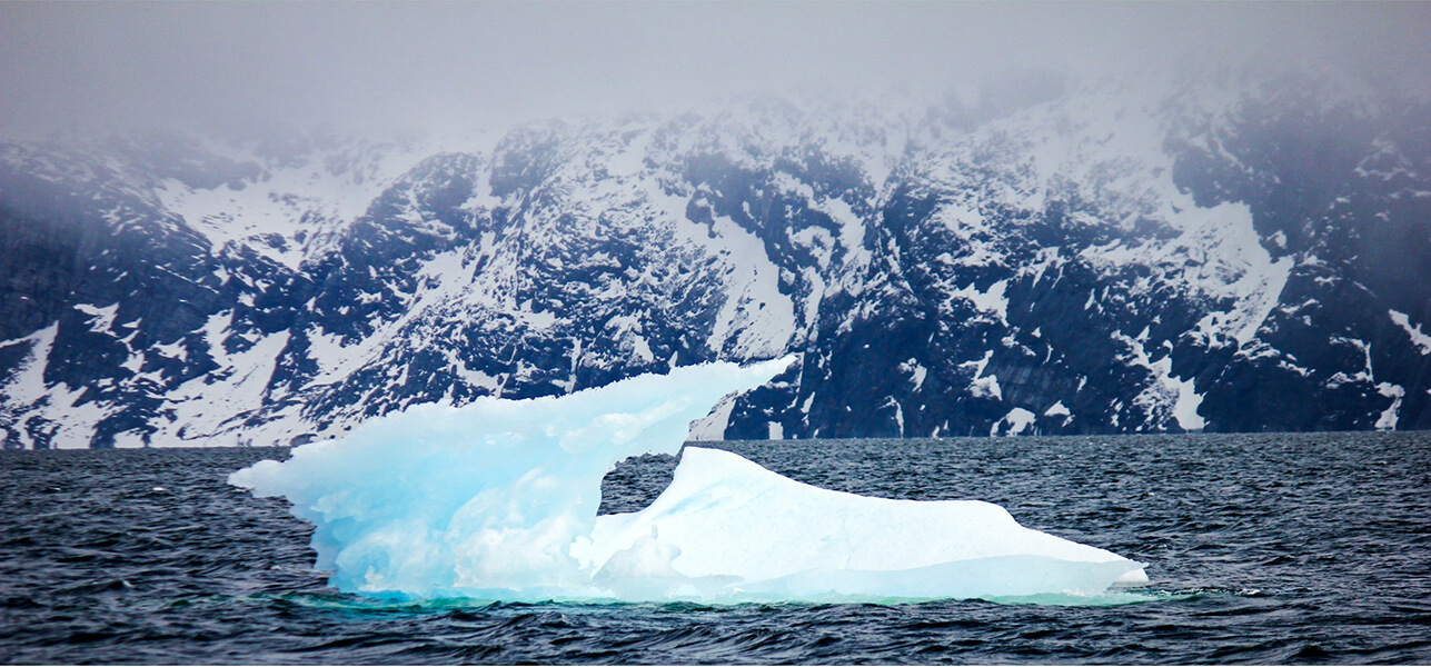 Sea ice cap drifting in front of icey mountains.