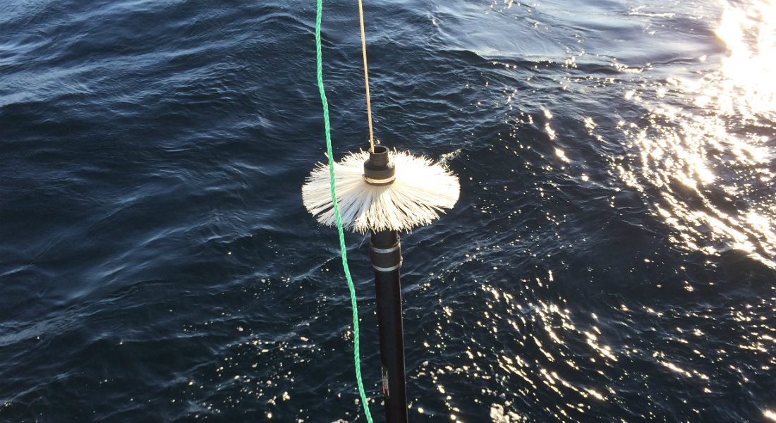 Sampling equipment lowered into ocean.