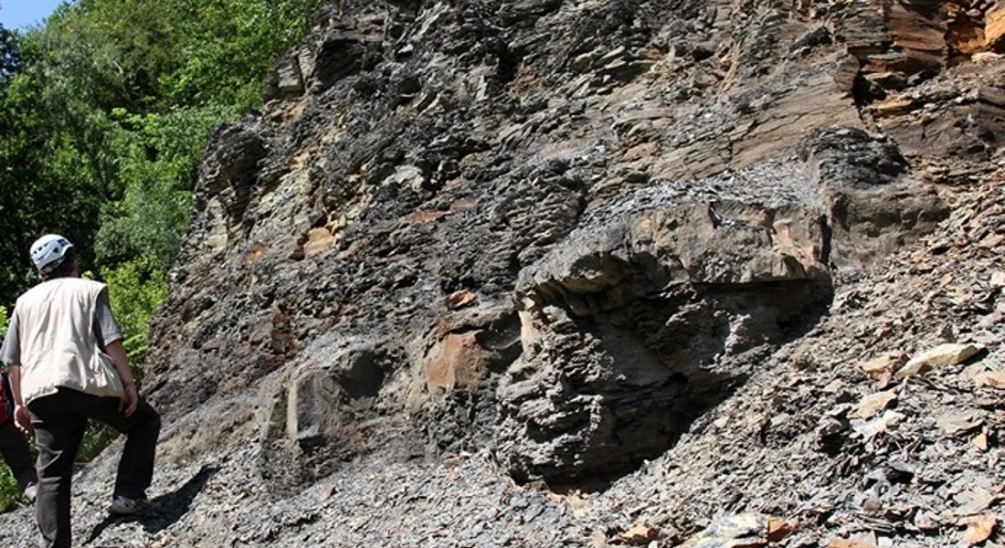 Cambrian Scandinavian Alum shale