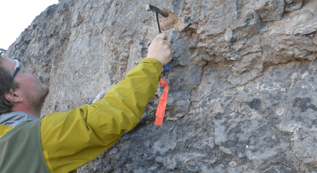 Palaeontological data collected in the field using a geological hammer.