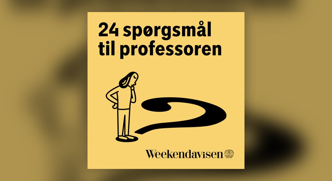 24 spg til professoren podcast