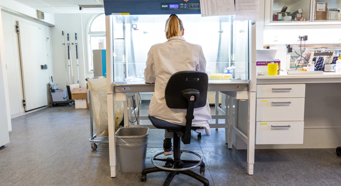 Researcher working in lab