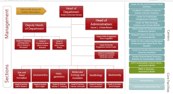 Organisation chart for Globe Institute