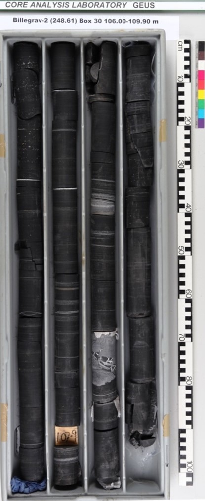 Cambrian core