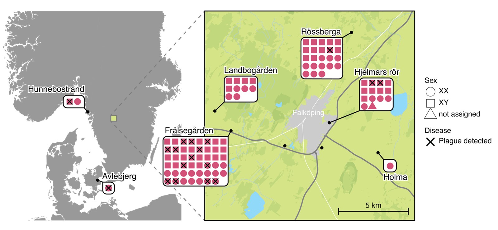 Plague spread in Neolithic Scandinavia, showing only Neolithic individuals. Figure credit: Nature