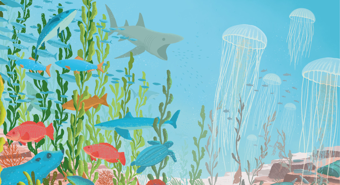 A flourishing and rich coastal ecosystem is depicted on the left side, with huge shoals of fish, seals and sharks darting and weaving around long healthy kelp fronds. To the right a degraded ocean with very few fish, large jellyfish, ocean plastic and debris littering the sea floor, limited dead kelp scattered around the desolate scene of human driven ocean degredation. A flourishing and rich coastal ecosystem is depicted on the left side, with huge shoals of fish, seals and sharks darting and weaving around long healthy kelp fronds. To the right a degraded ocean with very few fish, large jellyfish, ocean plastic and debris littering the sea floor, limited dead kelp scattered around the desolate scene of human driven ocean degredation.