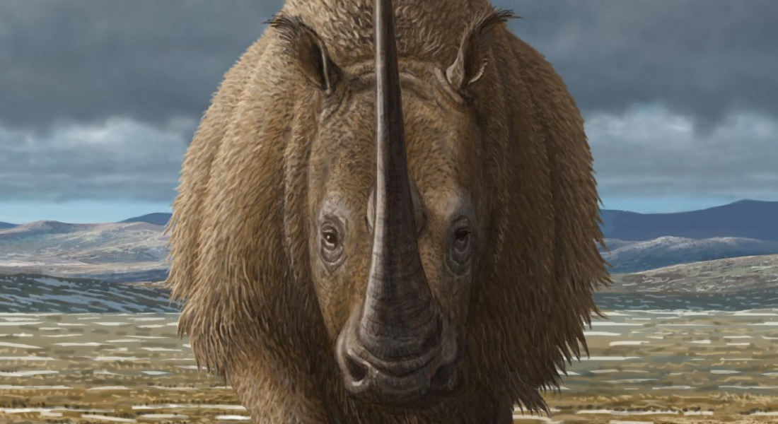 Illustration of a woolly rhinoceros on a field with a clouded sky hovering over it