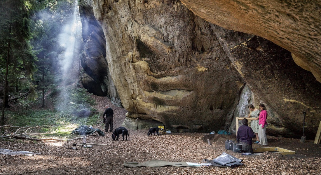 Scientists conducting fieldwork in forest cave