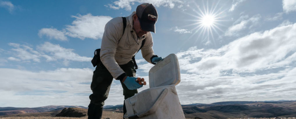 Professor Eske Willerslev placing samples in a box during fieldwork at Ellesmere Island.